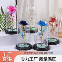 Chao đèn thủy tinh hoa hồng vĩnh cửu hoa nhân tạo Giáng sinh hoa vàng lá quà tặng ngày lễ tình nhân Qixi hộp quà tặng xuyên biên giới
