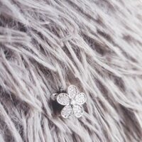 Charm bạc 925 (album 1)