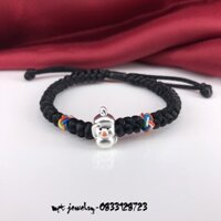 Charm vịt con chào cờ