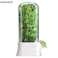 Charmanta Herb Keeper Hộp Đựng Thảo Dược Nhựa Savor Bảo Quản Cho Cilantro Mint Parsley Măng Tây Chives Posemary VN