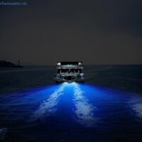 Charmantcc1 Marine LED Boat Dưới Nước Pontoon Transom Light 27 LED Đánh Bóng Thép Không Gỉ Nhà Ở Chống Thấm Nước IP68 Sur
