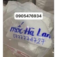 chất bảo quản thực phẩm Hà Lan- bột chống mốc Hà Lan - mốc Hà Lan - sodium benzoate - NaC6H5CO2