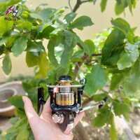 [Chất Lượng] Máy Câu Cá Expert 2000, Máy Đứng Câu Lure Chính Hãng