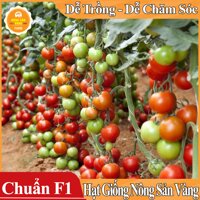 Chất Tẩy Rửa Đa Năng Sumo 700g