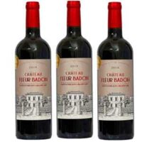 Château Fleur Badon Grand Cru Saint-Émilion 13.5%vol 750ml