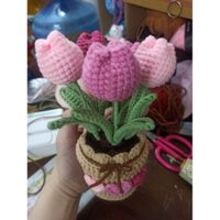 Chậu 5 bông tulip mini bằng len handmade