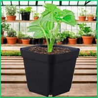 Chậu bắt đầu gieo hạt 50x Khay nảy mầm hình vuông Microgreenings Chậu trồng cây trong nhà và ngoài trời jiwvn