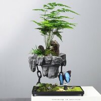 Chậu bay trồng bonsai chất liệu khung kim loại sơn tĩnh điện chậu composite