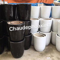 chậu bom sứ trồng cây sz to