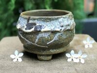 Chậu bonsai Kim 808, R16xC12 cm- SP000791