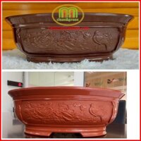 Chậu bonsai nhựa mini hình ovan phù hợp cho các loại cây kiểng cây bonsai combo 3 cái Minh Hân Garden