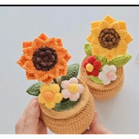 CHẬU CÂY BẰNG LEN