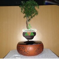 Chậu cây bay (Air bonsai) (sứ, TX_AB006)