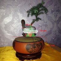 Chậu cây bay (Air bonsai) (sứ, TX_AB010)