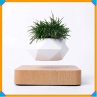 Chậu Cây Bay BonSai Zero W Design thế hệ mới 2025 ⚜️SimonShop⚜️