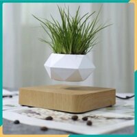 Chậu Cây Bay BonSai Zero W Design thế hệ mới 2025 ⚜️TTHome⚜️