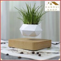 Chậu Cây Bay BonSai Zero W Design thế hệ mới 2023 ❤️Hanrui Offical❤️