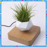 Chậu Cây Bay BonSai Zero W Design thế hệ mới 2025 💯Store VN💯