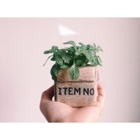 CHẬU CÂY CẨM NHUNG HÌNH HỘP QUÀ NHỎ XINH
