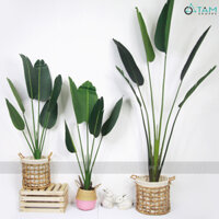 Chậu cây chuối cảnh giả cao 120-200cm F-CGNT-17_TTTM