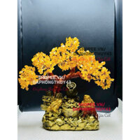 chậu cây đa phong thuỷ thach anh có thiềm thừ bát tụ bảo tài lộc 30cm