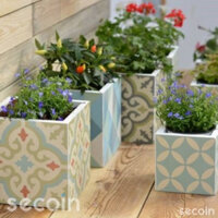 Chậu cây gạch bông kích thưóc 20x20