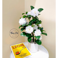 Chậu cây giả để bàn, chậu cây hồng trà trang trí bàn ăn, bàn học, nội thất