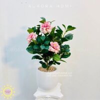 Chậu cây hoa hồng giả Elisa phối cành trà sang trọng