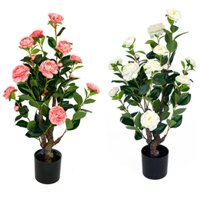 Chậu cây hoa hồng trà giả trang trí nội thất