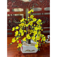 Chậu cây hoa mai kẽm nhung