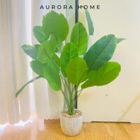 Chậu cây lá dong giả cao 70cm