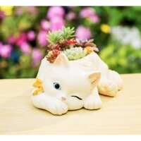 CHẬU CÂY MÈO LƯỜI TRẮNG ĐEO NƠ NẰM TRỒNG CÂY TRANG TRÍ 01