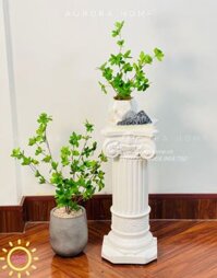 Chậu cây mini cây Thach Nam giả để bàn