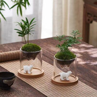 Chậu Cây mini Hình Ngọn Núi Rêu Nghệ Thuật Sáng Tạo Để Bàn Trang Trí Nhà Cửa