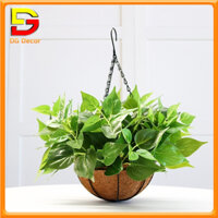 Chậu Cây Nhân Tạo Treo Ban Công Giỏ Hoa Treo Tường Tạo Không Gian Xanh Mát DC-297