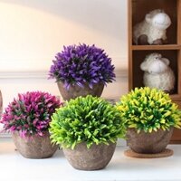 Chậu cây nhựa mập tròn (1 chậu)