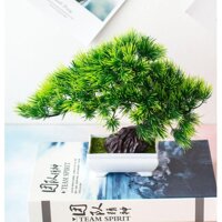 Chậu Cây Thông Xanh Bonsai Giả Để Bàn, trang trí kệ treo tường, giá sách, decor