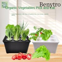 Chậu cây thủy canh BENYTR, Chậu hoa rau củ ban công, Cà chua dưa chuột thủy canh Mini Máy trồng cây mọng nước Bình để bàn