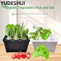 Chậu cây thủy canh YudhUI, Chậu hoa rau củ ban công, Hệ thống thủy canh tự làm Cà chua Thủy canh Mini Máy trồng cây mọng nước Bình để bàn