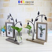 Chậu cây trang trí bàn làm việc DCS DECOR lọ hoa thủy tinh cao cấp decor vintage B0008