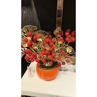 chậu cây trang trí cho bàn uống nước ngày tết,trang trí bàn làm việc,bàn máy tính