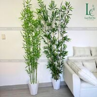 Chậu cây tre giả - Trúc quân tử trang trí nhà cửa CÂY KÈM CHẬU NHỰA