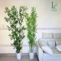 Chậu cây tre giả - Trúc quân tử trang trí nhà cửa