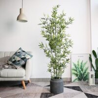 Chậu cây trúc giả chuyên dụng trong trang trí nội thất