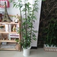 Chậu cây trúc giả trang trí trong nhà