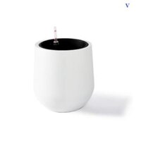 Chậu Cây Tự Dưỡng Composite Hình Trứng