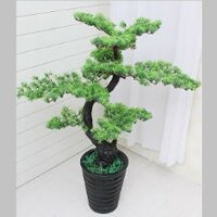 Chậu cây tùng bonsai giả trang trí