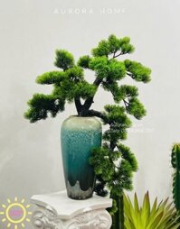 Chậu cây tùng bonsai thiết kế phong cách Nhật (Mẫu 8)