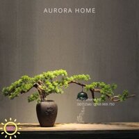Chậu cây tùng bonsai thiết kế phong cách Nhật (Mẫu 4)