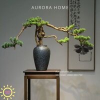 Chậu cây tùng bonsai thiết kế phong cách Nhật (Mẫu 2)